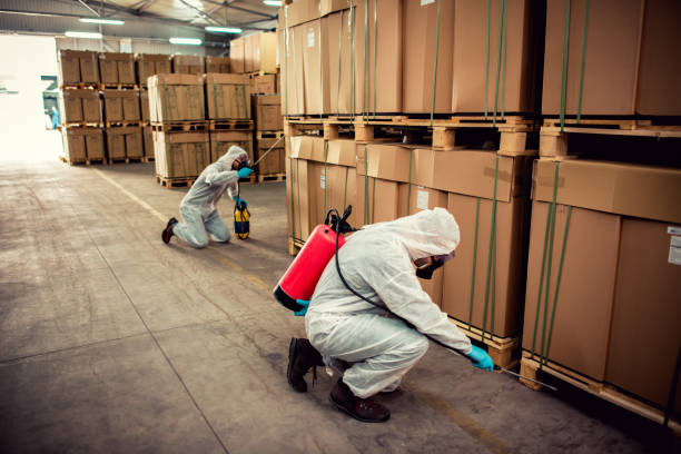 Best Ant Control Services  in Valley Falls, KS