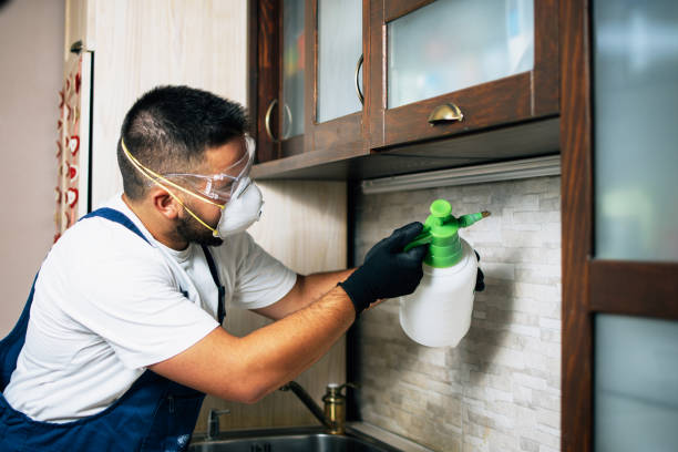 Trusted Valley Falls, KS Pest Control Experts