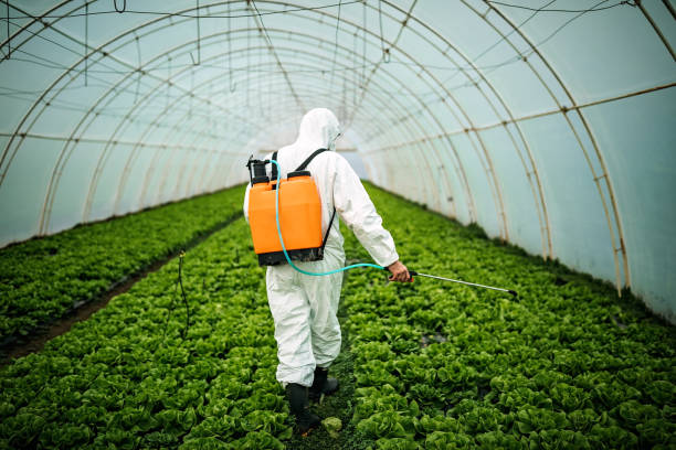 Best Pest Prevention Services  in Valley Falls, KS