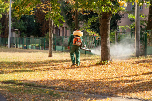Best Flea Control Services  in Valley Falls, KS