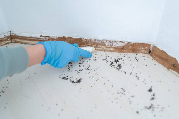 Best Pest Control for Homes  in Valley Falls, KS